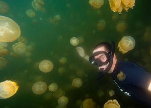 20_Jellyfish_Lake