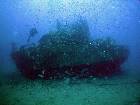 Wreck of the Cetacea
